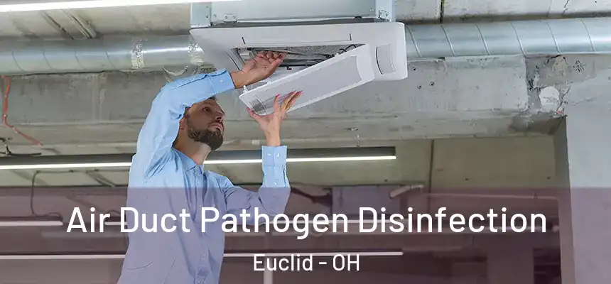  Air Duct Pathogen Disinfection Euclid - OH