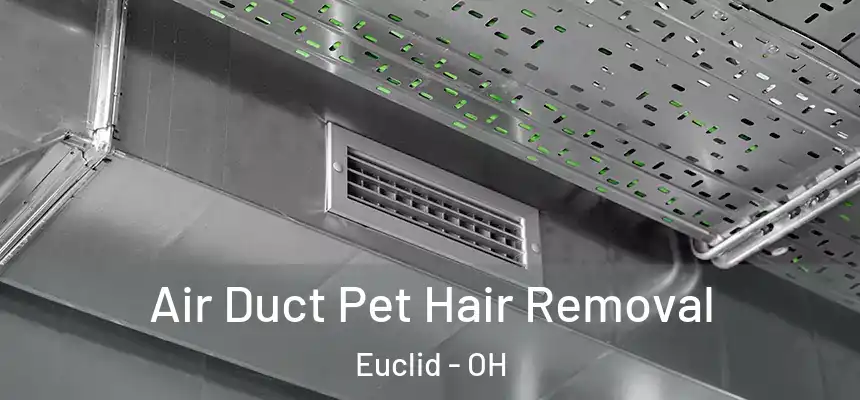  Air Duct Pet Hair Removal Euclid - OH