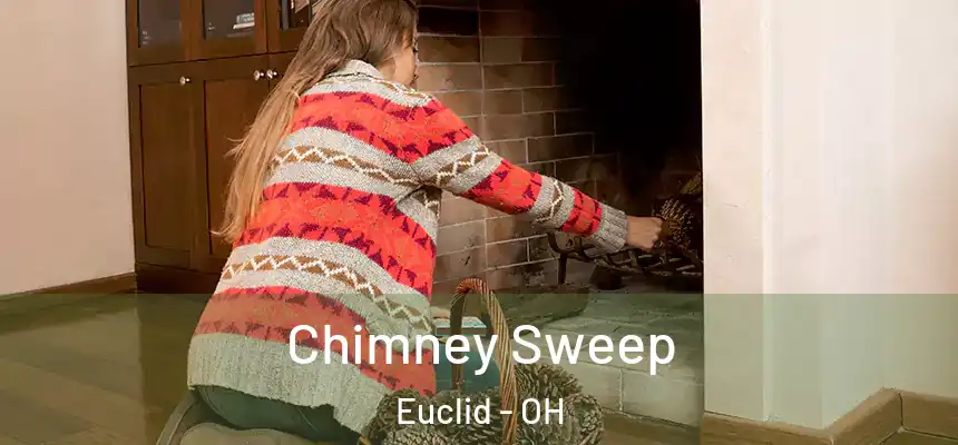 Chimney Sweep Euclid - OH