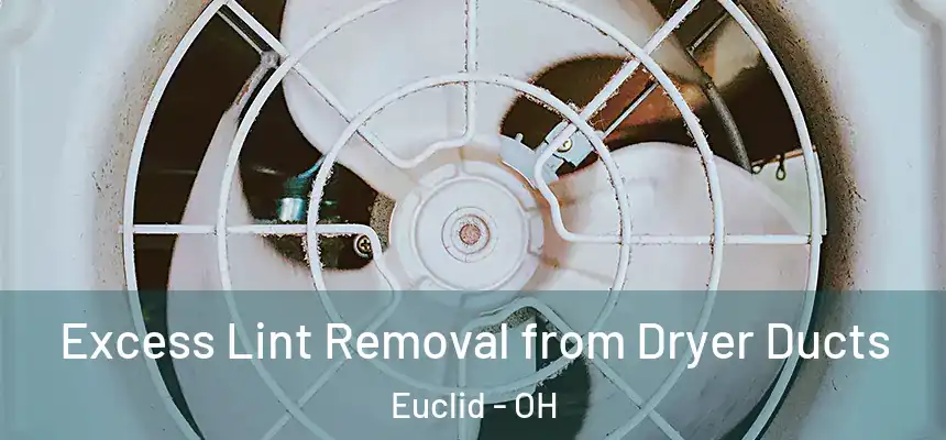  Excess Lint Removal from Dryer Ducts Euclid - OH