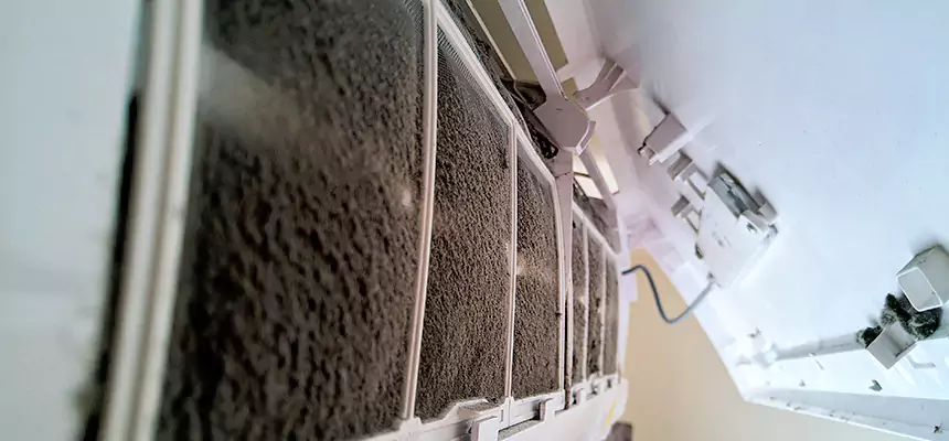 Preventive Air Duct Bacteria Removal in Euclid