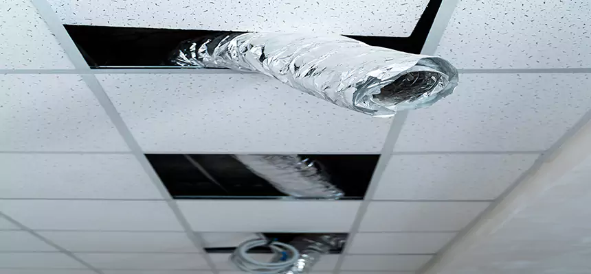 Our Air Duct Pet Hair Removal Services in Euclid, OH