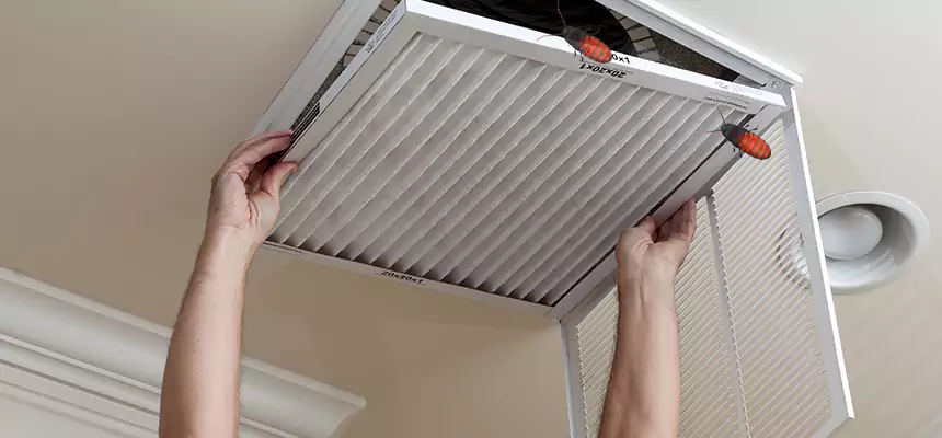 Our Insect Removal from Air Ducts Services in Euclid, OH