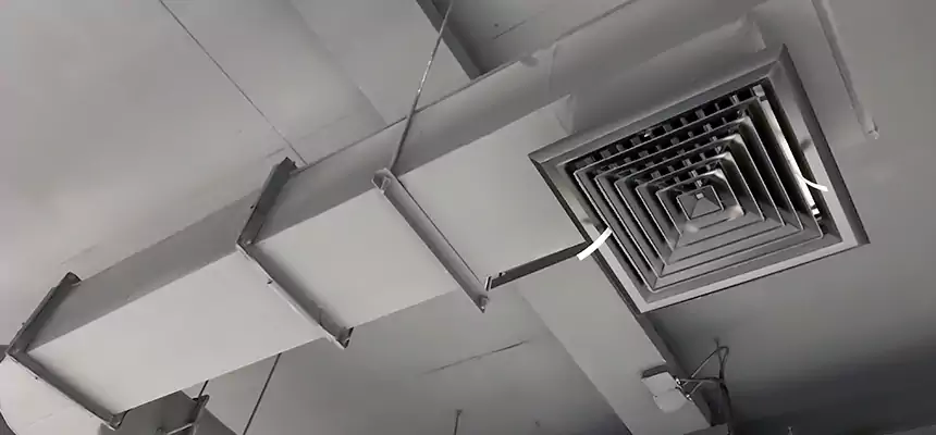 Our Pest Removal From Ducts Services in Euclid, OH