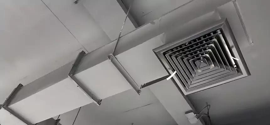 Our Rodent Droppings In Vents Services in Euclid, OH