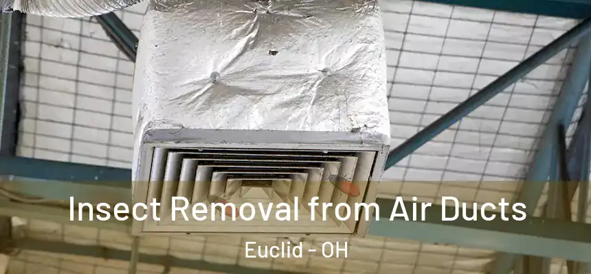 Insect Removal from Air Ducts Euclid - OH