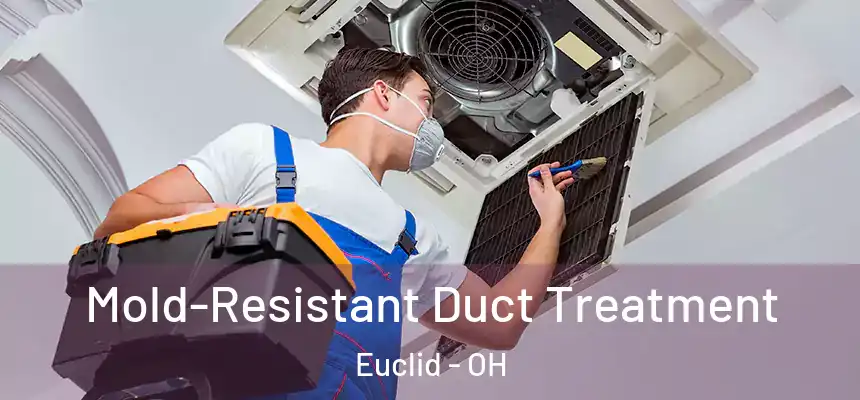  Mold-Resistant Duct Treatment Euclid - OH