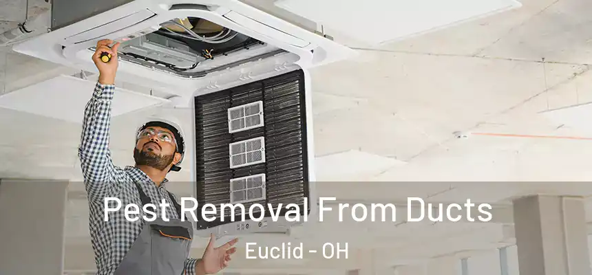  Pest Removal From Ducts Euclid - OH