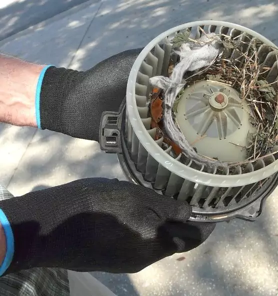 About Air Duct Mice Removal in Euclid, OH