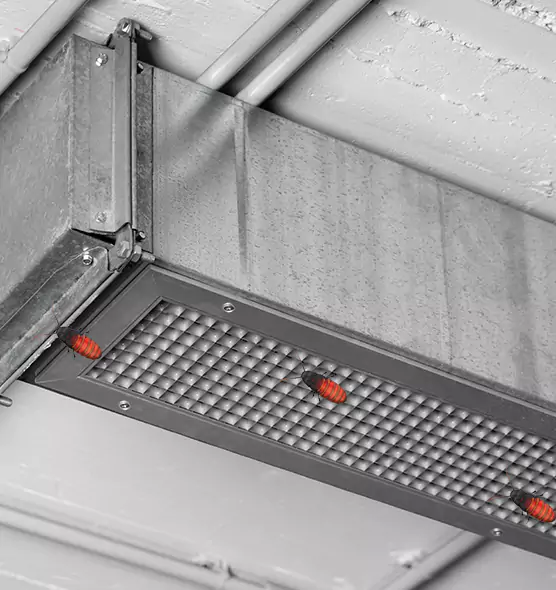 Affordable Insect Removal from Air Ducts in Euclid, OH