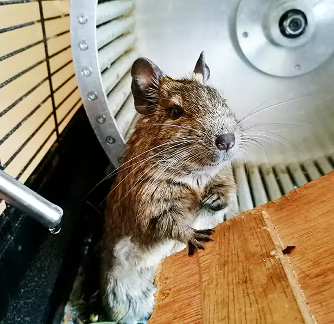 Why Homeowners & Businesses Trust Us Euclid, OH?