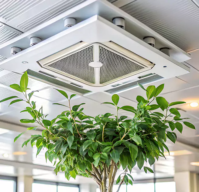 Why Homeowners & Businesses Trust Us in Euclid, OH?